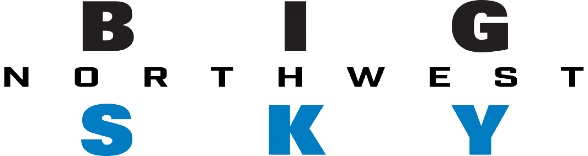 Bigskynw Logo