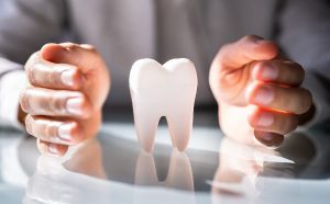 shutterstock_1957556677